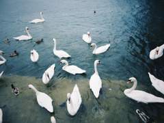 비 내리는 날의 루체른