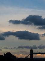 -Untitled Chef Project