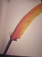 문호와 알케미스트