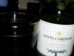 Red Wine의 시작, Pinot Noir