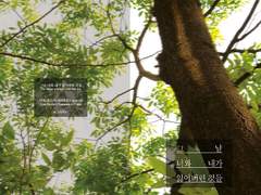 [황립] 그 날 너와 내가 잃어버린 것들