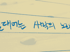 [뉴트민호] 열대어는 사막의 노래를