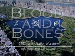 피와 뼈 : Blood and Bones