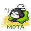 모타