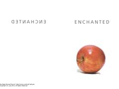 10코 토민호 신간<ENCHANTED> 샘플