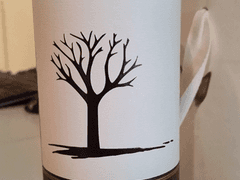 취향 직격타, Cabernet Sauvignon