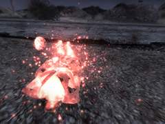 폴아웃: 뉴 베가스 플레이 일지 14