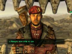 폴아웃: 뉴 베가스 플레이 일지 17