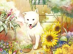 이고은 『꽃과 강아지』