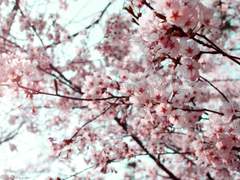 [중독이지만 모브 끼얹음] 나의 구원자들