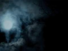 드림 전력 - 응팔 김정환 : 맹목