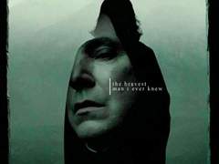 인쇄 후 비공개 중인 해리포터 개인지 일람