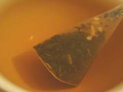 티포르테 시트러스민트