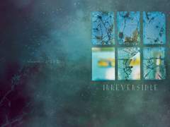 [청흑/아오쿠로] Irreversible돌이킬 수 없는