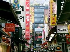 준호범신/최김 교류전 샘플