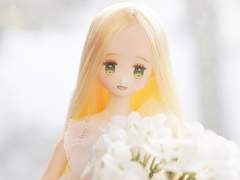 오비츠11헤드+퓨어니모XS 커스텀