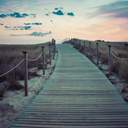 커미션 받는 배숙