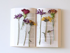 [솔리야] You Found Me