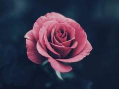 [솔리야] Somewhere with you