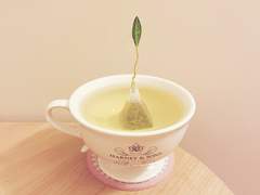 티포르테 레몬버베인