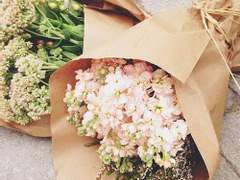 [솔리야] Your Little Black Cat