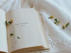 [타이캠] Reason To Kiss