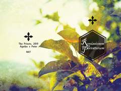 [최김/준호범신] Remissionem Peccatorum