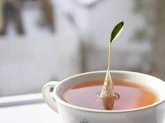 티포르테 아프리콧 아마레토