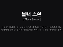 블랙 스완
