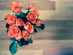 [i7] 5년째의 화이트데이