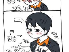 하이큐, 고난! 조련사.