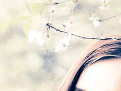 잃어버린 여름 (Lost Summer)