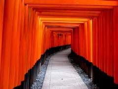 [쿠로바스/적흑/아카쿠로] 여행