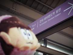 토도마츠, 이치마츠와 에버랜드 나들이 16-04-27