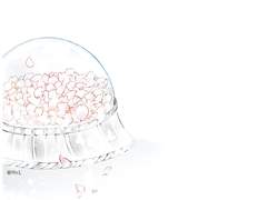 [마나오노] 벚꽃엔딩