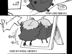 [HQ-우시스가]스가른전력 - 마법/2p
