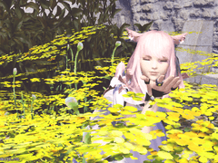 부대 이벤용 게시글