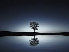 인도형제/ 702호 01.