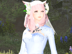 그동안 아이메리크경이랑 스샷찍은거