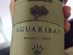 플레챠스 데 로스 안데스 아구어리베이