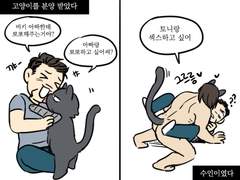 [버키토니] 고양인줄 알았더니