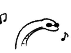 15 멋진 징조들+기타