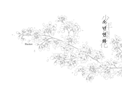 [경우임수경염] 소년연화(少年煙花)