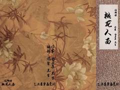 [비류몽지] 도화인면