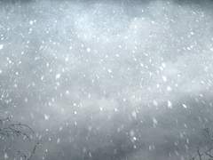 스팁버키/Cold War