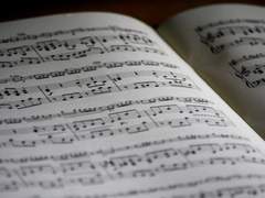 [스팁버키] sing in the sunshine