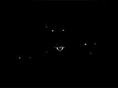 가스샌즈그릴 몽환 (1)