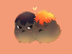 하이큐 로그(히나가라스)