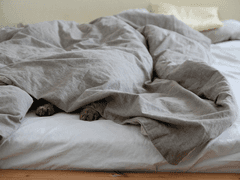 카르주나/ 말 할 수 없는 비밀