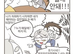 다이스가 만화들